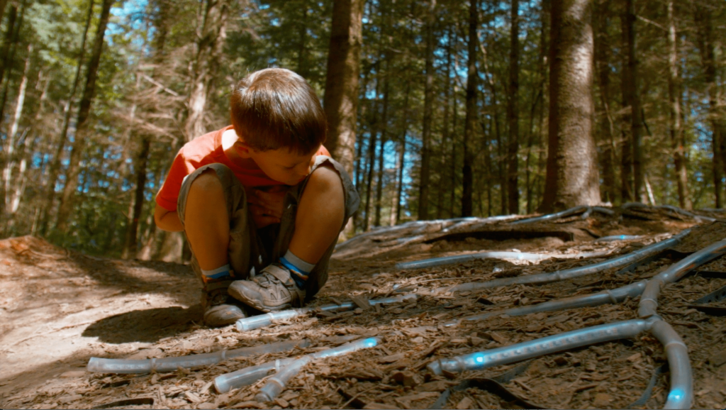 sentient-forest-main-original