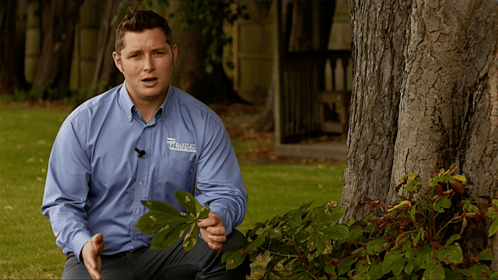 tim-veryan-1-1-1-main-original